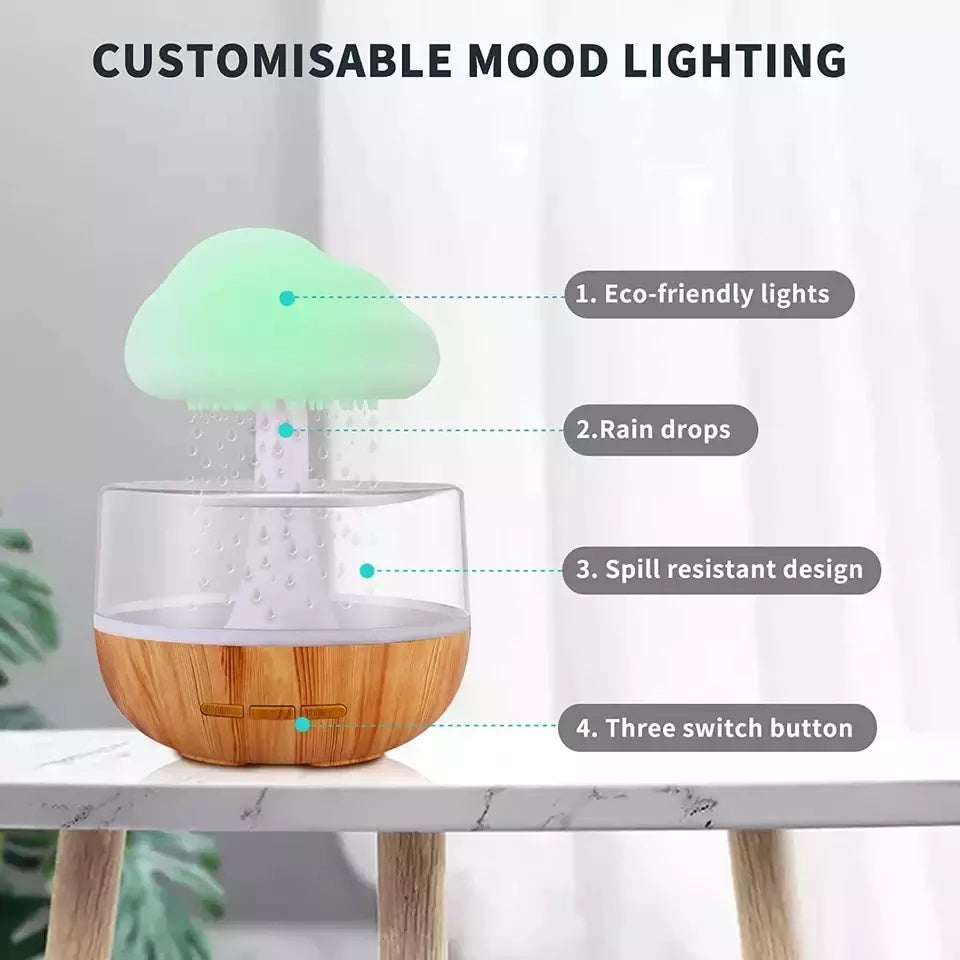 Rain Cloud Humidifier